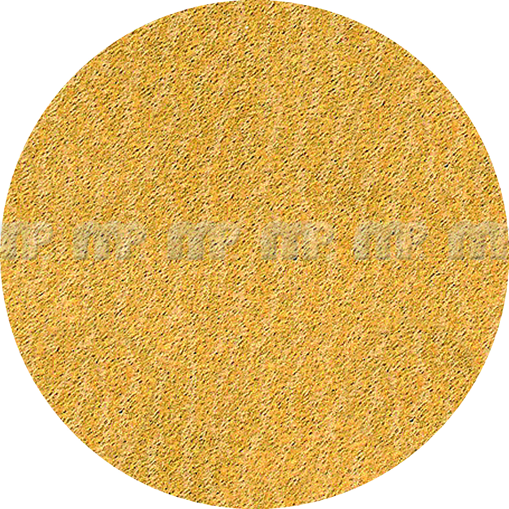 MP Schleifscheibe "GoldFilm", 75 mm / ungelocht